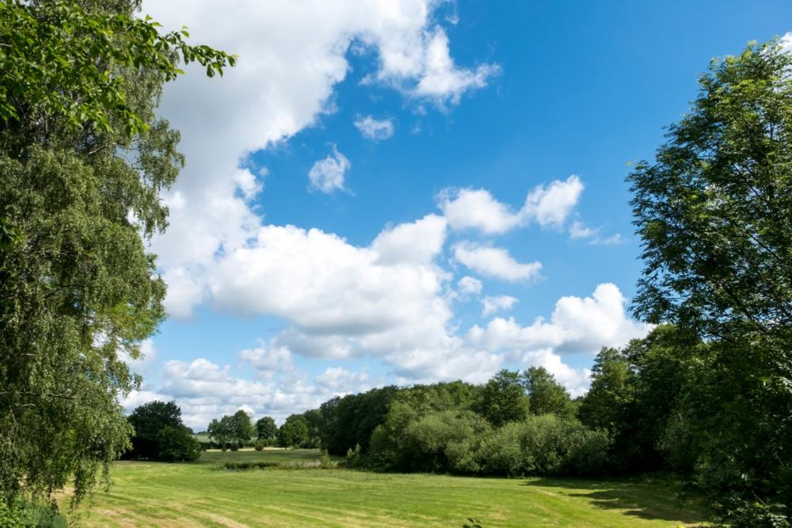 Natur Wiesen Mittelholstein