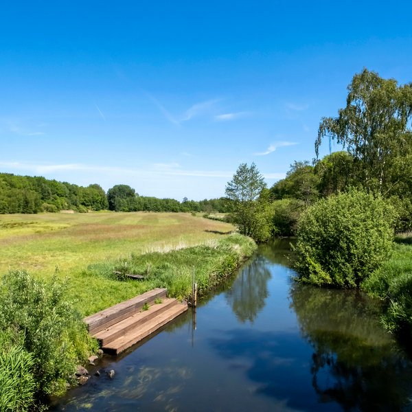 Arpsdorf (© mht.sh | Peter Lühr) Idyllische grüne Flusslandschaft in Arpsdorf im Amt Mittelholstein
