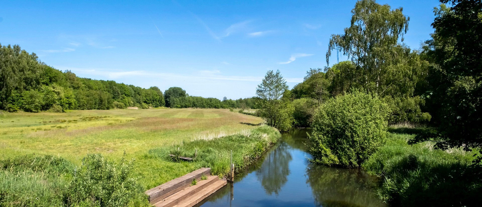 Idyllische grüne Flusslandschaft in Arpsdorf im Amt Mittelholstein