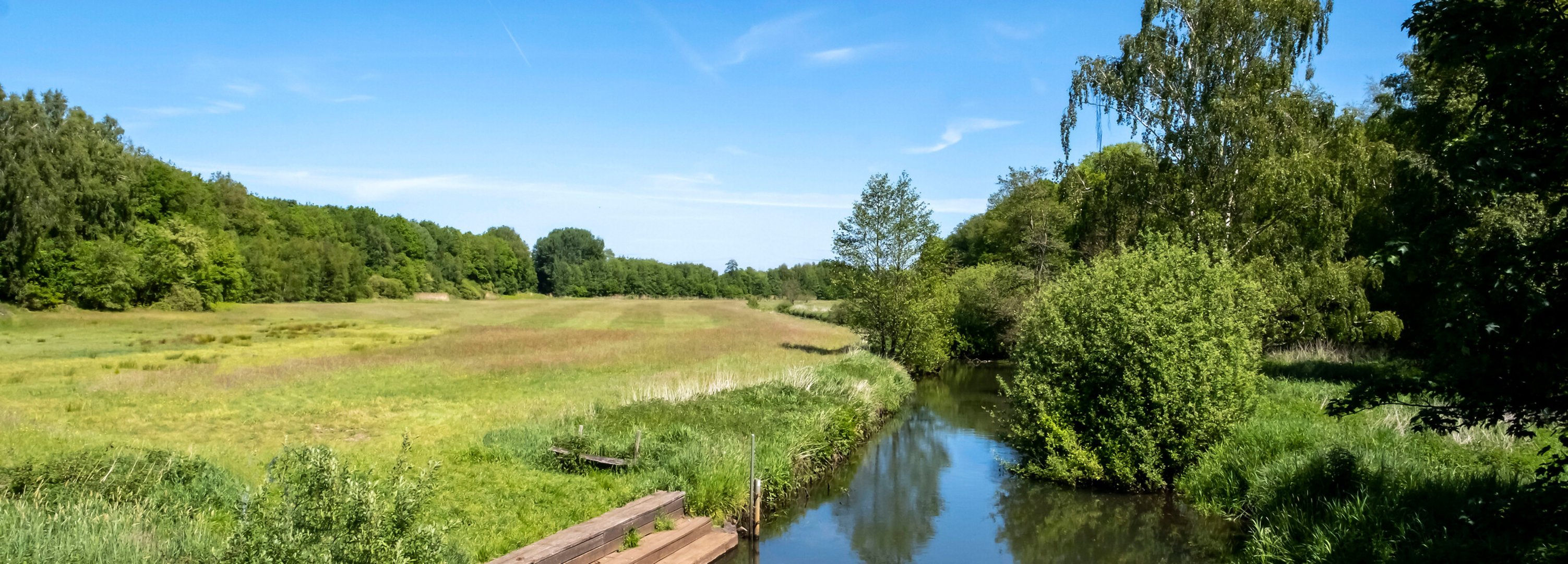 Idyllische grüne Flusslandschaft in Arpsdorf im Amt Mittelholstein