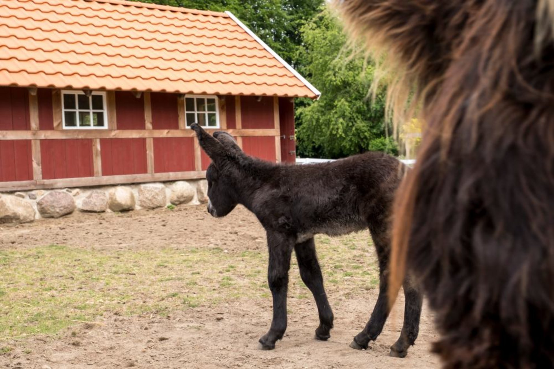 Tierpark Arche Warder