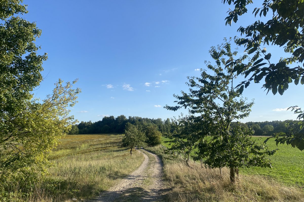 Wanderweg im Naturpark Westensee