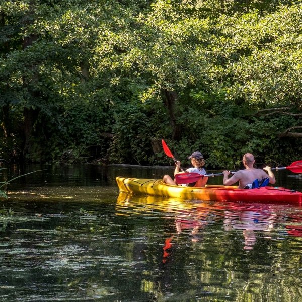 Ein Paar fährt Kanu auf der Eider im Naturpark Westensee