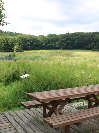 Rastplatz im Grünen