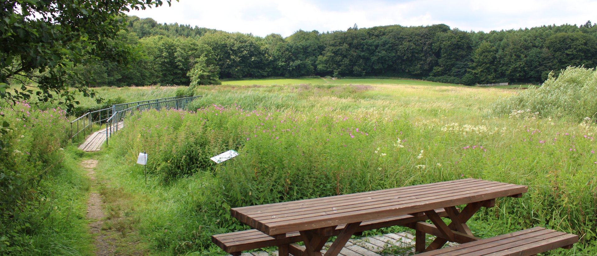 Rastplatz im Grünen