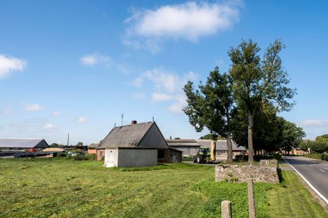 2021-stafstedt-05