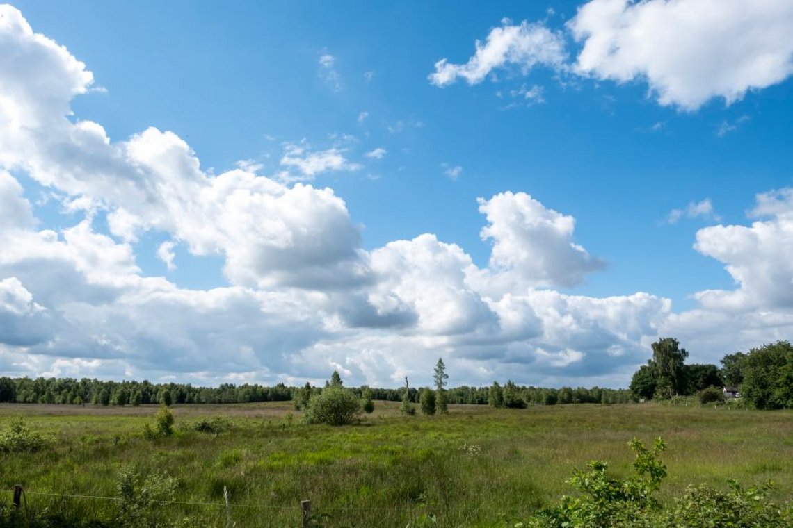 Landschaft Natur Wandern Radfahren Mittelholstein