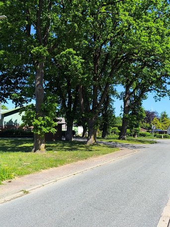 Eine Straße führt durch den Ortskern der Gemeinde Seefeld Amt Mittelholstein