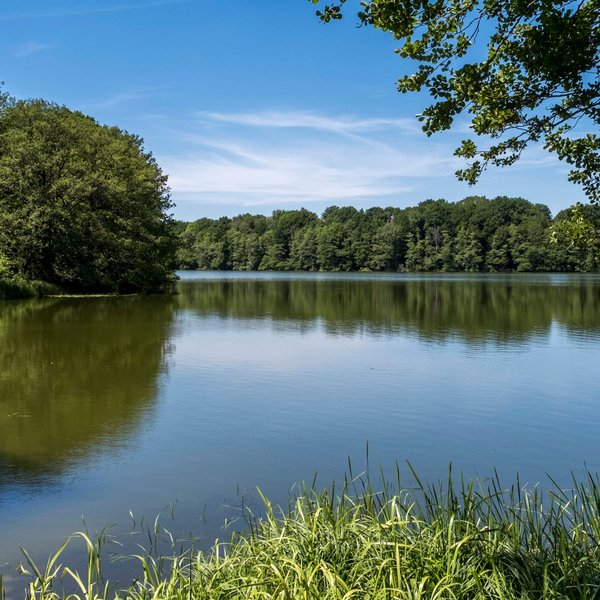 Langwedel (© mht.sh | Peter Lühr)