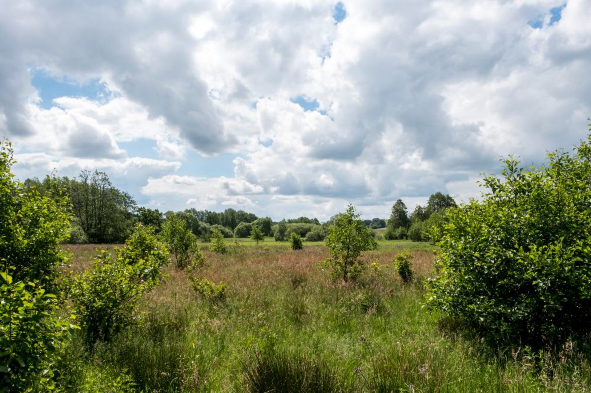 Eidertal Techelsdorf