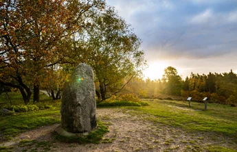 Der Boxberg im Naturpark Aukrug (sh-tourismus.de/MOCANOX) Der Boxberg im Naturpark Aukrug im Hintergrund geht die Sonne unter