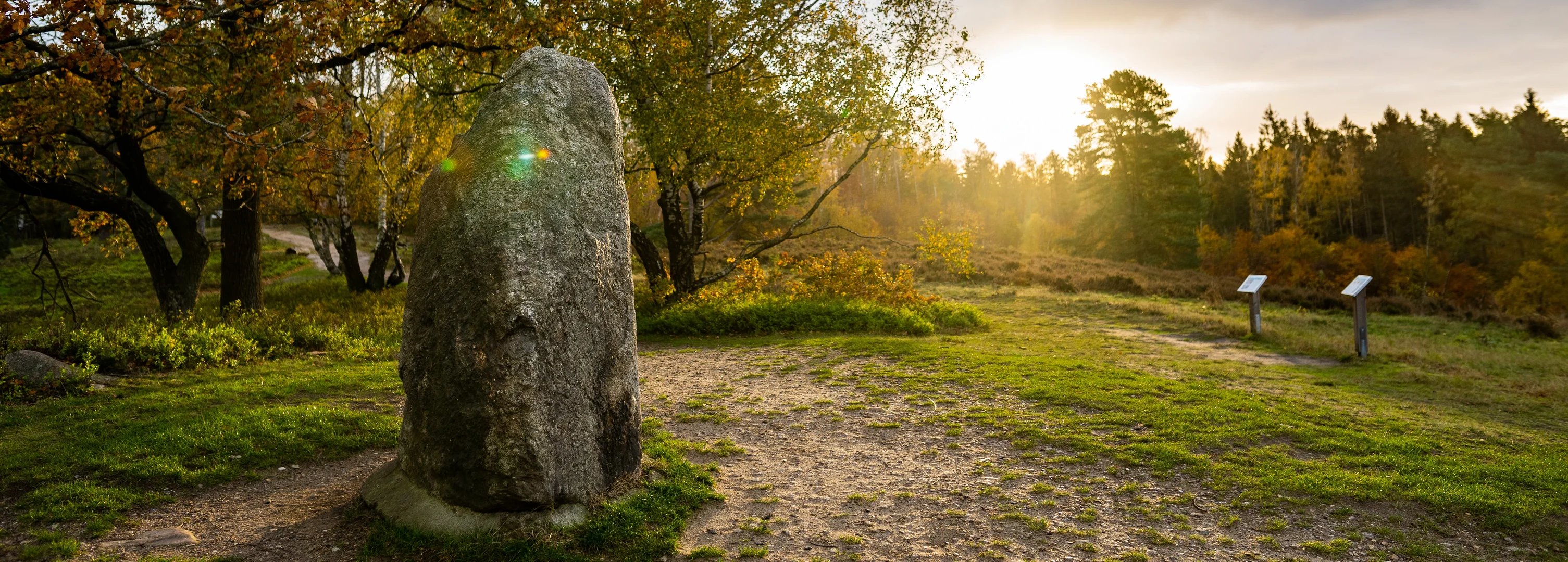 Der Boxberg im Naturpark Aukrug im Hintergrund geht die Sonne unter