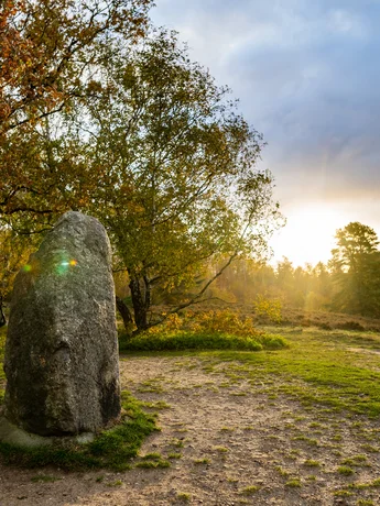Der Boxberg im Naturpark Aukrug (sh-tourismus.de/MOCANOX) Der Boxberg im Naturpark Aukrug im Hintergrund geht die Sonne unter