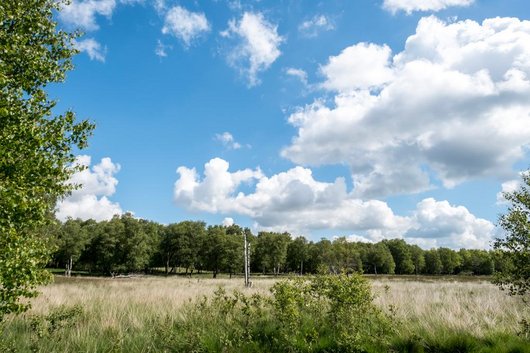 Landschaften Natur Mittelholstein
