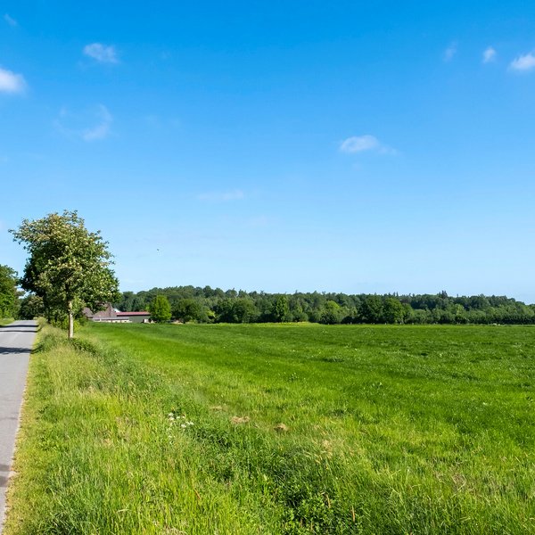 Nienborstel (© mht.sh | Peter Lühr) Straße durch eine grüne Feld-Landschaft in der Gemeinde Ninborstel