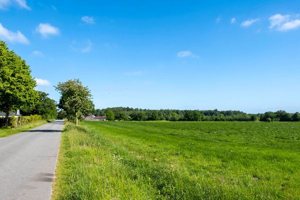 Nienborstel (© mht.sh | Peter Lühr) Straße durch eine grüne Feld-Landschaft in der Gemeinde Ninborstel