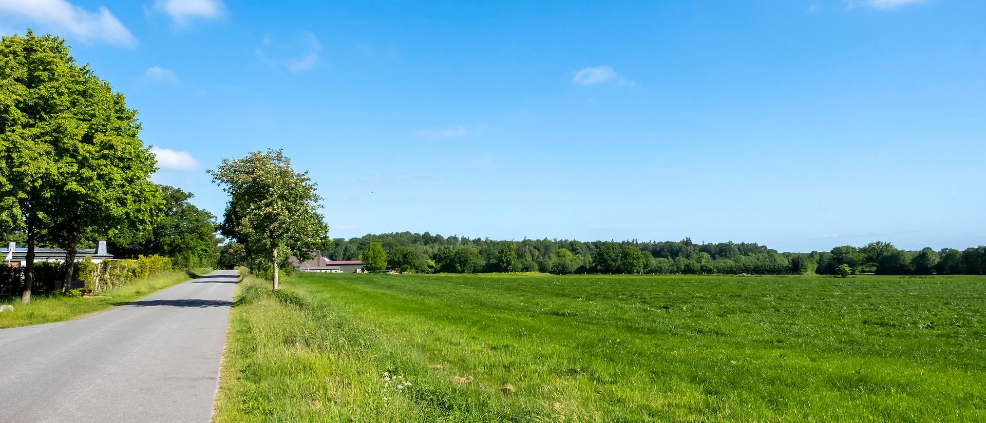 Straße durch eine grüne Feld-Landschaft in der Gemeinde Ninborstel