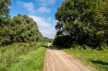 2021-haale-17