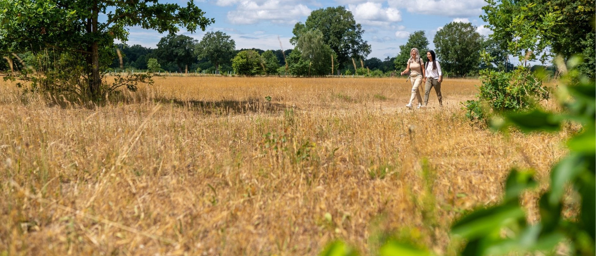 Zwei Freundinnen spazieren durch Felder und Wiesen auf dem Naturparkwanderweg
