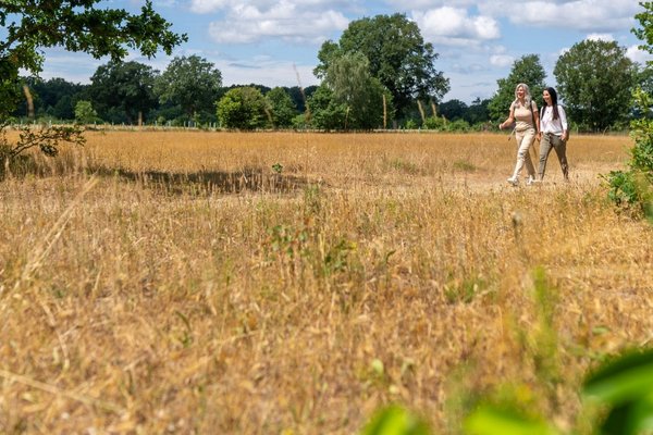 Zwei Freundinnen spazieren durch Felder und Wiesen auf dem Naturparkwanderweg