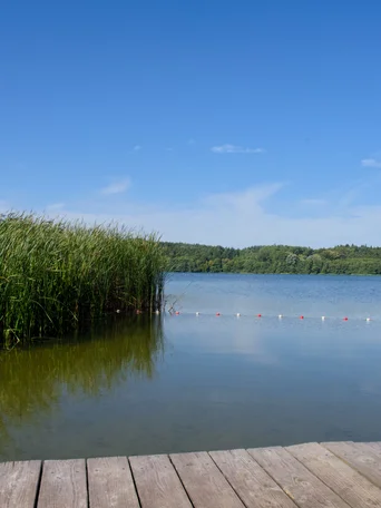 Badestelle mit Holzsteg am Schierensee. Der Himmel ist blau es ist Sommer in Mittelholstein.