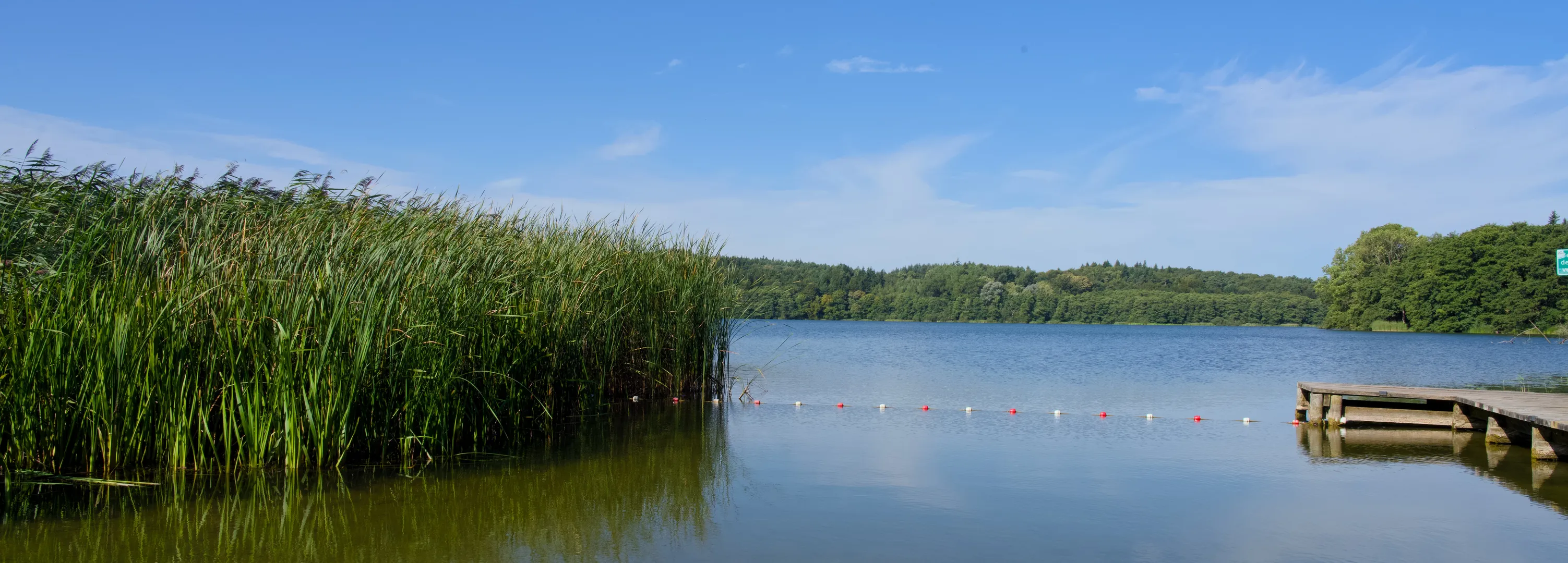 Badestelle mit Holzsteg am Schierensee. Der Himmel ist blau es ist Sommer in Mittelholstein.