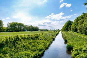 Natur Spazieren Fahrrad fahren Mittelholstein