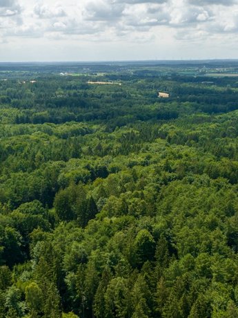 Luftaufnahme von den Wäldern im Naturpark Aukrug