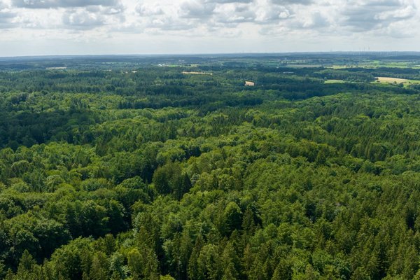 Naturpark Aukrug (© sh-tourismus.de / MOCANOX) Luftaufnahme von den Wäldern im Naturpark Aukrug