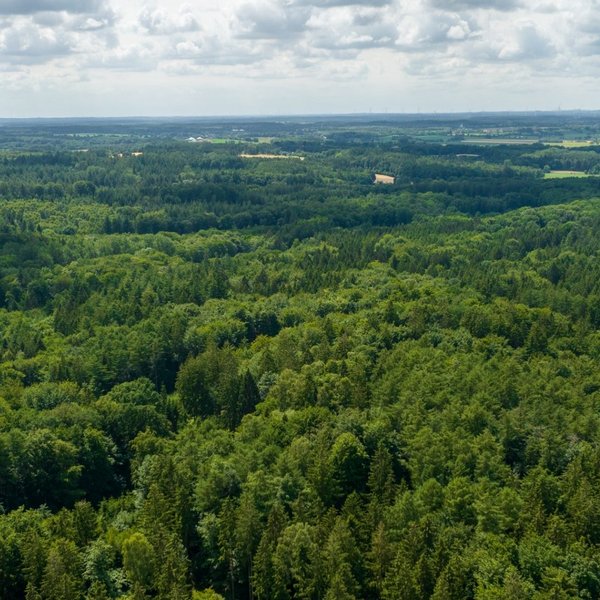 Luftaufnahme von den Wäldern im Naturpark Aukrug