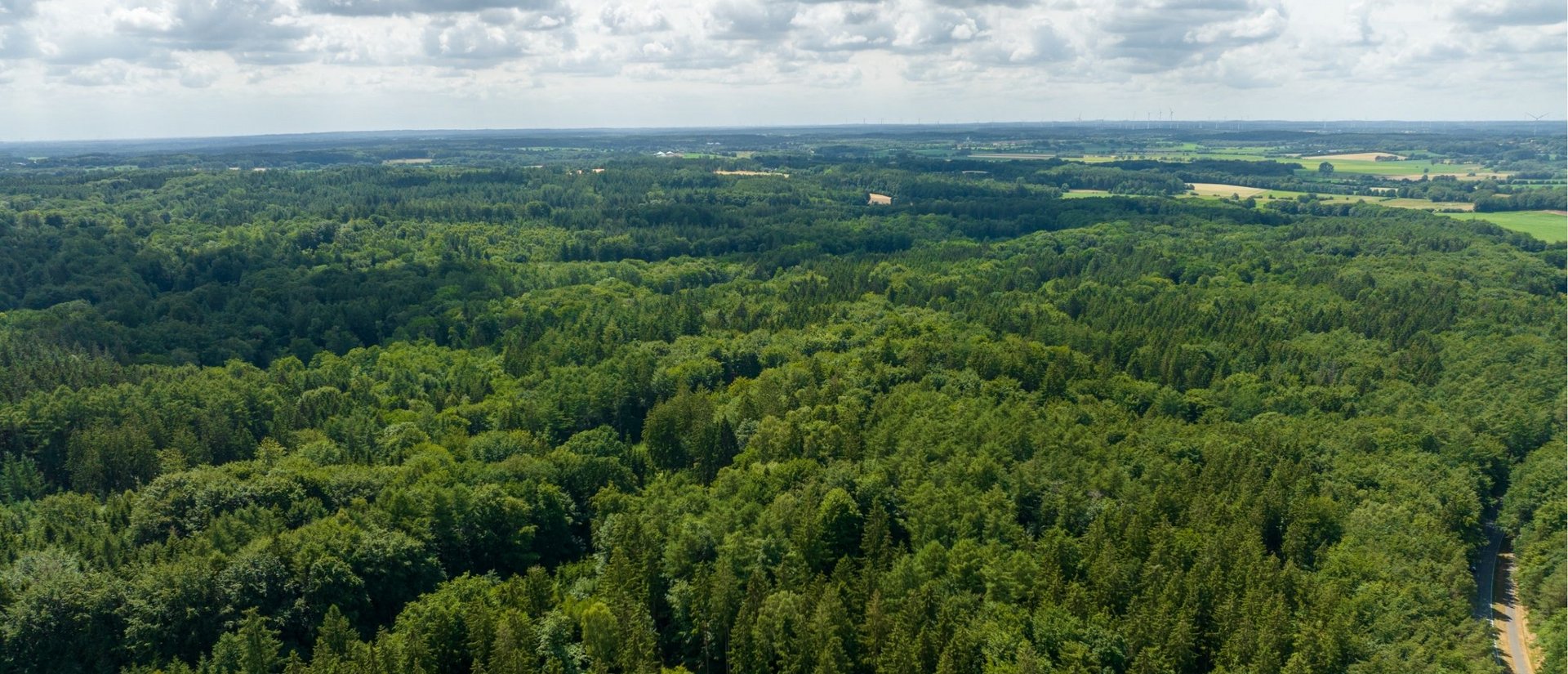 Luftaufnahme von den Wäldern im Naturpark Aukrug