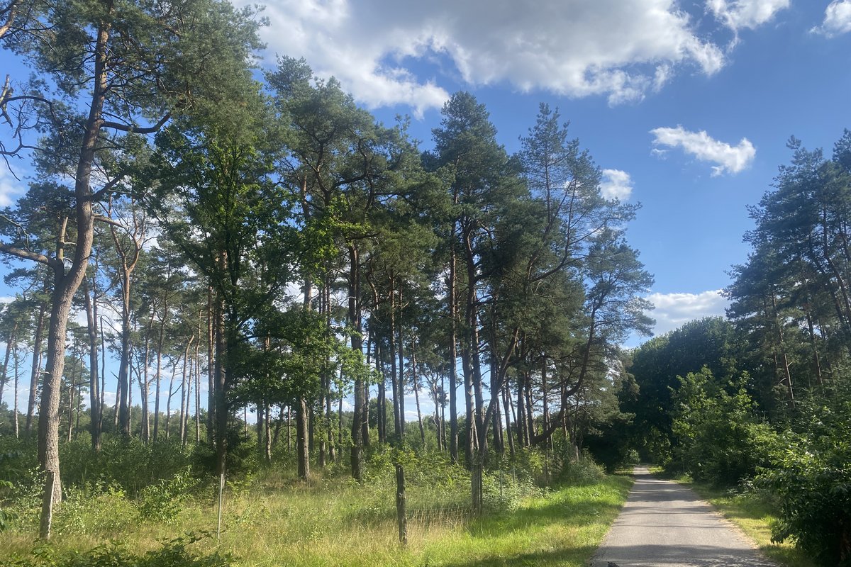 Naturparkwanderweg im Naturpark Westensee