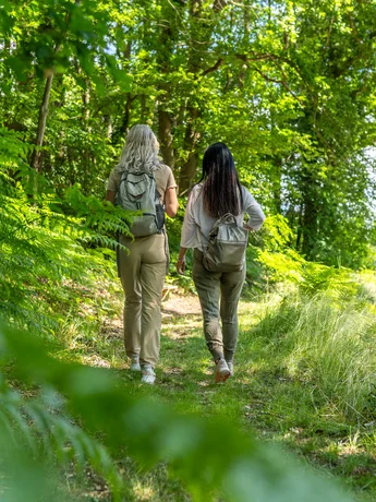 DSC09502-Verbessert-RR-2 (sh-tourismus.de/MOCANOX) Zwei Frauen wandern durch eine idyllische grüne Waldlandschaft