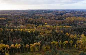 Der Boxberg im Naturpark Aukrug ist ein beliebtes Ausflugsziel
