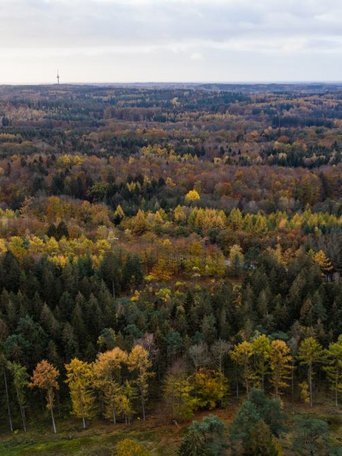 Der Boxberg im Naturpark Aukrug ist ein beliebtes Ausflugsziel