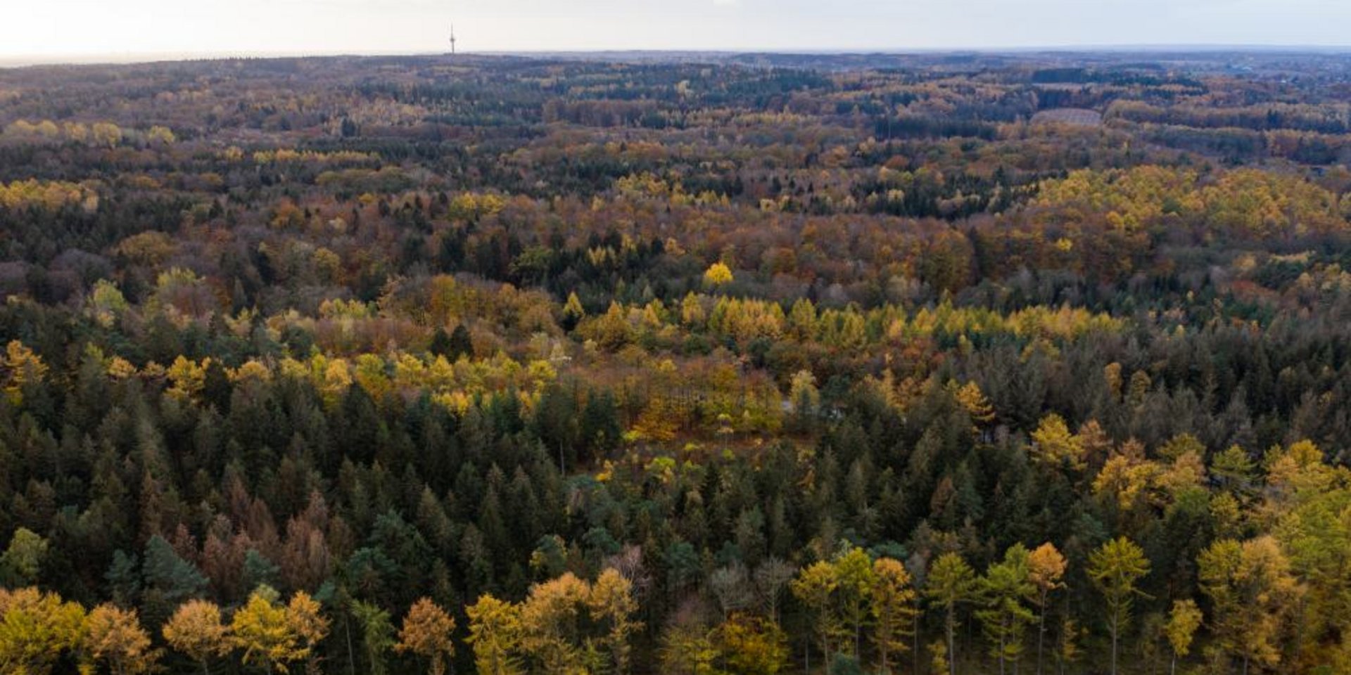 Der Boxberg im Naturpark Aukrug ist ein beliebtes Ausflugsziel