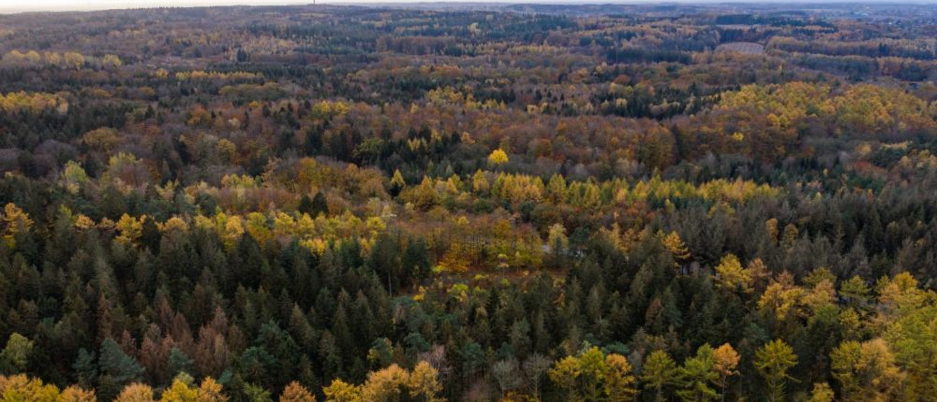 Der Boxberg im Naturpark Aukrug ist ein beliebtes Ausflugsziel