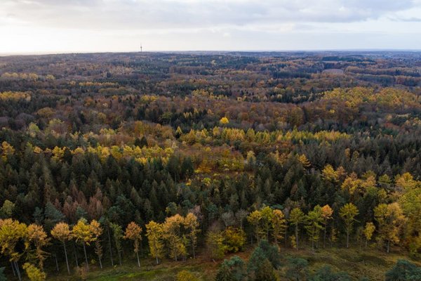 Aukruger Land (© Mittelholstein_MOCANOX) Der Boxberg im Naturpark Aukrug ist ein beliebtes Ausflugsziel