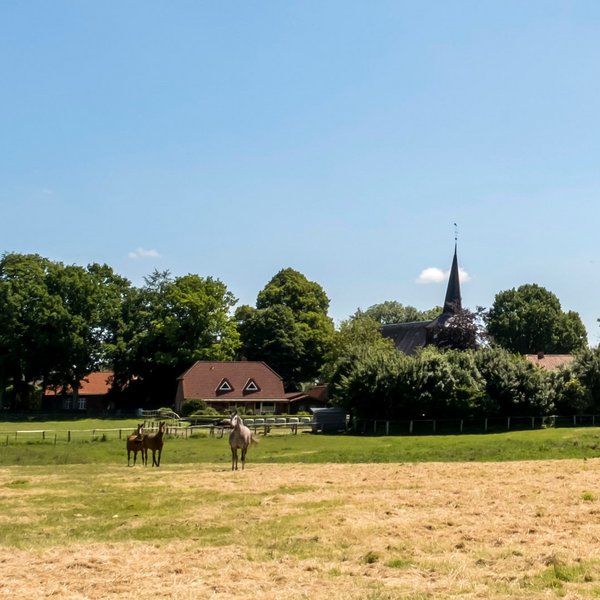Bovenau (© mht.sh | Peter Lühr)