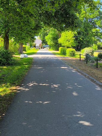 Wapelfeld (© mht.sh | Peter Lühr) Ruhige grüne Straße Gemeinde Wapelfeld Amt Mittelholstein