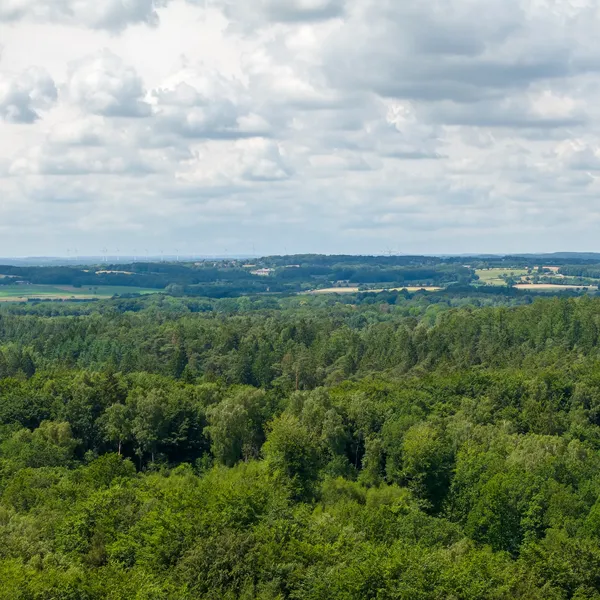 Naturparklandschaft in Mittelholstein