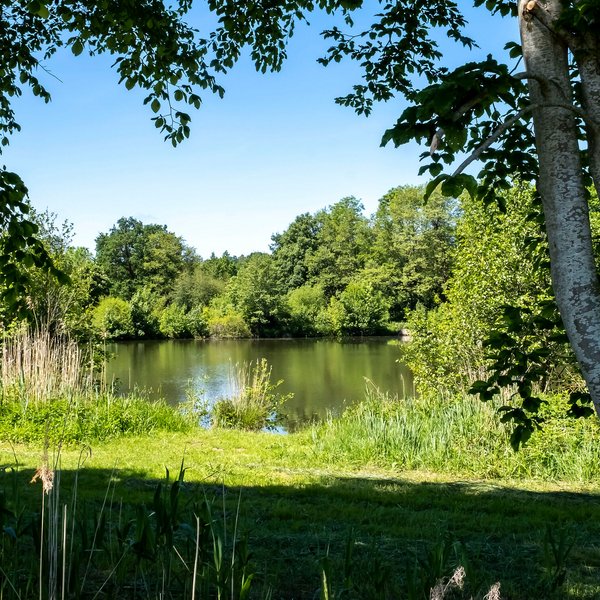 Tappendorf (© mht.sh | Peter Lühr) Idyllische natur mit einem See zwischen Bäumen in der Gemeinde Tappendorf im Amt Mittelholstein