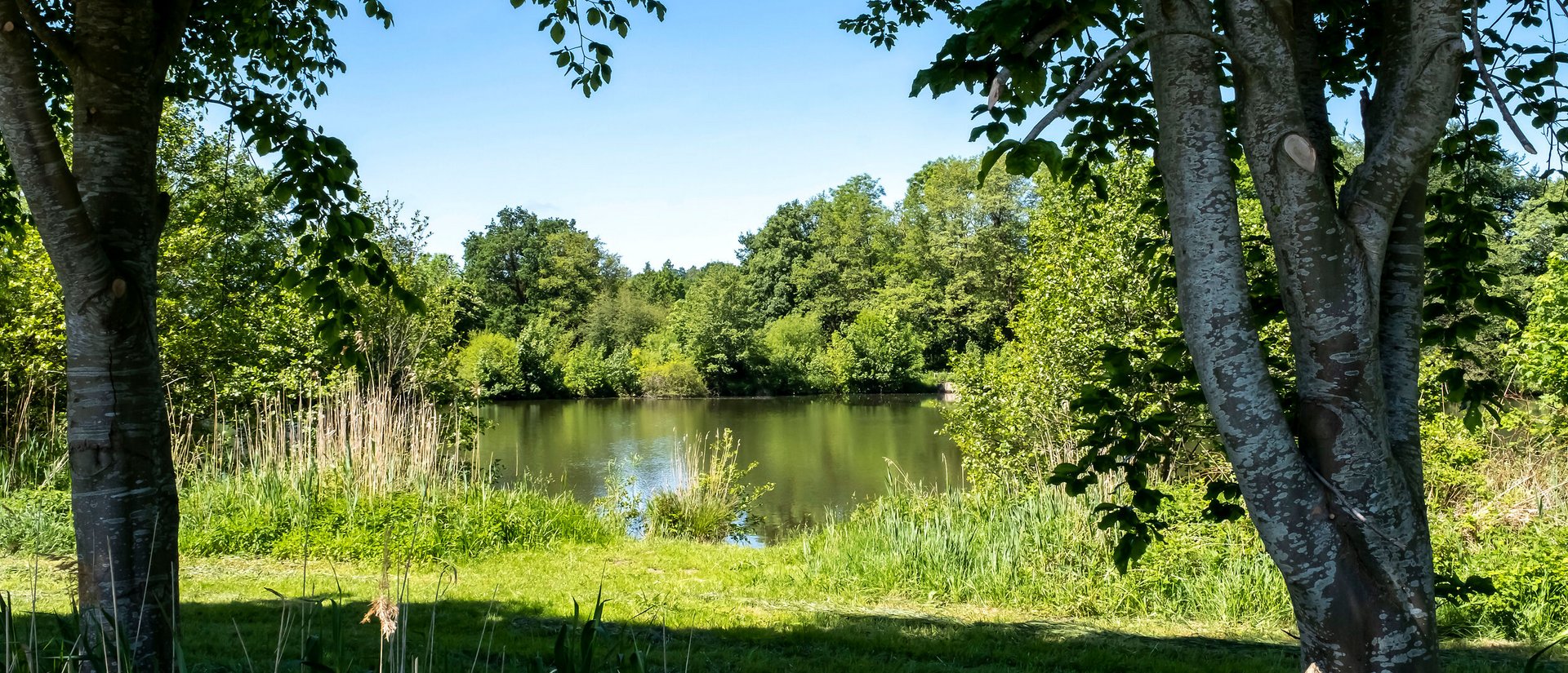 Idyllische natur mit einem See zwischen Bäumen in der Gemeinde Tappendorf im Amt Mittelholstein