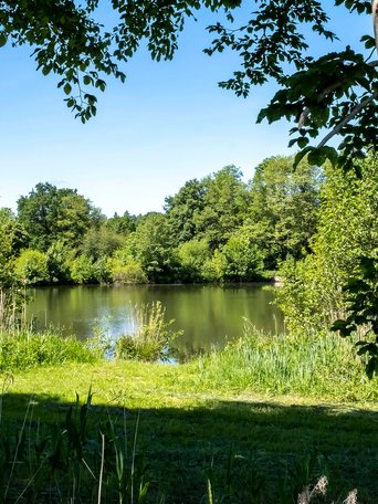 Tappendorf (© mht.sh | Peter Lühr) Idyllische natur mit einem See zwischen Bäumen in der Gemeinde Tappendorf im Amt Mittelholstein