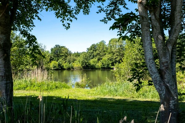 Tappendorf (© mht.sh | Peter Lühr) Idyllische natur mit einem See zwischen Bäumen in der Gemeinde Tappendorf im Amt Mittelholstein