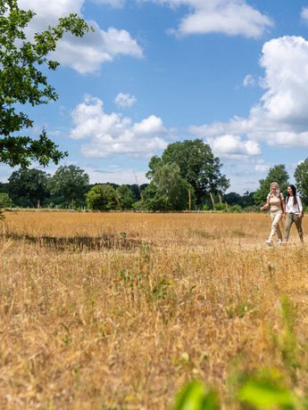 Zwei Frauen Wandern in idyllischer Natur bei blauem Himmel durch den Naturpark Aukrug. 