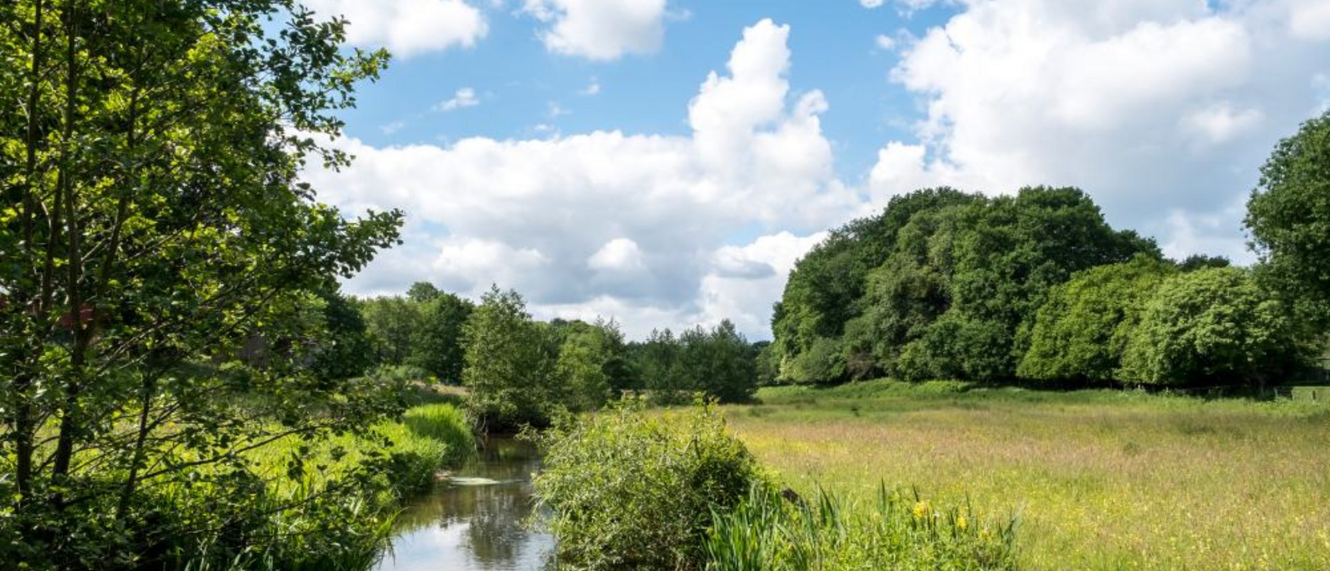 Mittelholstein