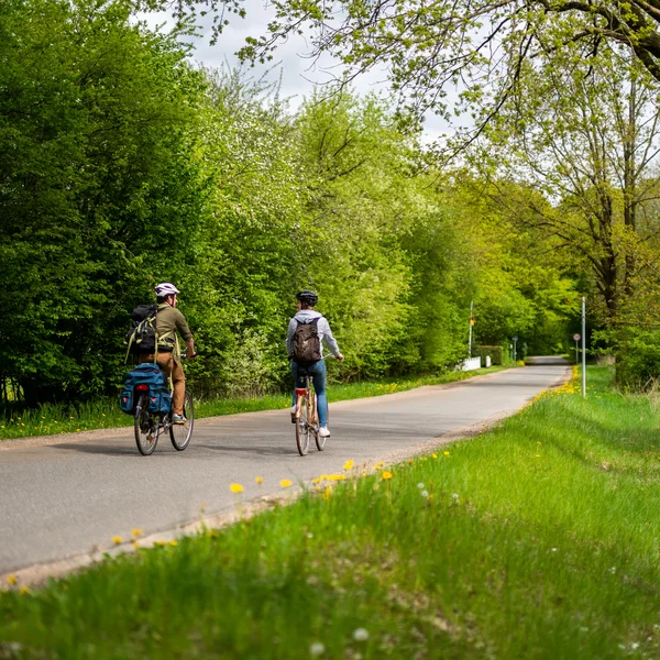 Zwei Menschen fahren auf ihren Rädern durch eine grüne Landschaft. Bäume säume den asphaltierten Weg.