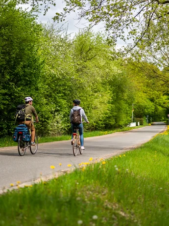 Radfahren am Ochsenweg_9 (© sh-tourismus.de/MOCANOX) Zwei Menschen fahren auf ihren Rädern durch eine grüne Landschaft. Bäume säume den asphaltierten Weg.