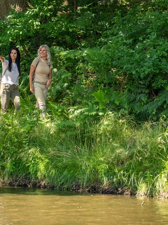 Wandertouren (© sh-tourismus.de/MOCANOX) Zwei Frauen wandern durch grüne Landschaft entlang eines Gewässers.